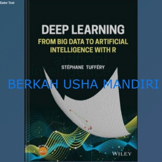 Jual BUKU Deep Learning From Big Data to Artificial Intelligence with R ...