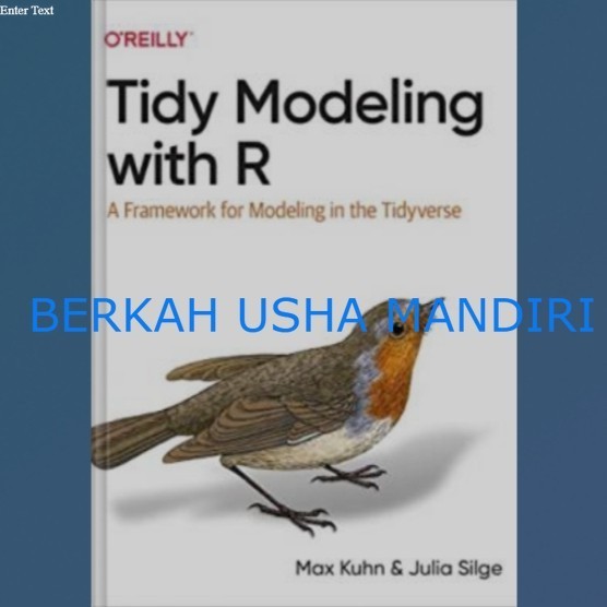 Jual BUKU Tidy Modeling with R A Framework for Modeling in the ...