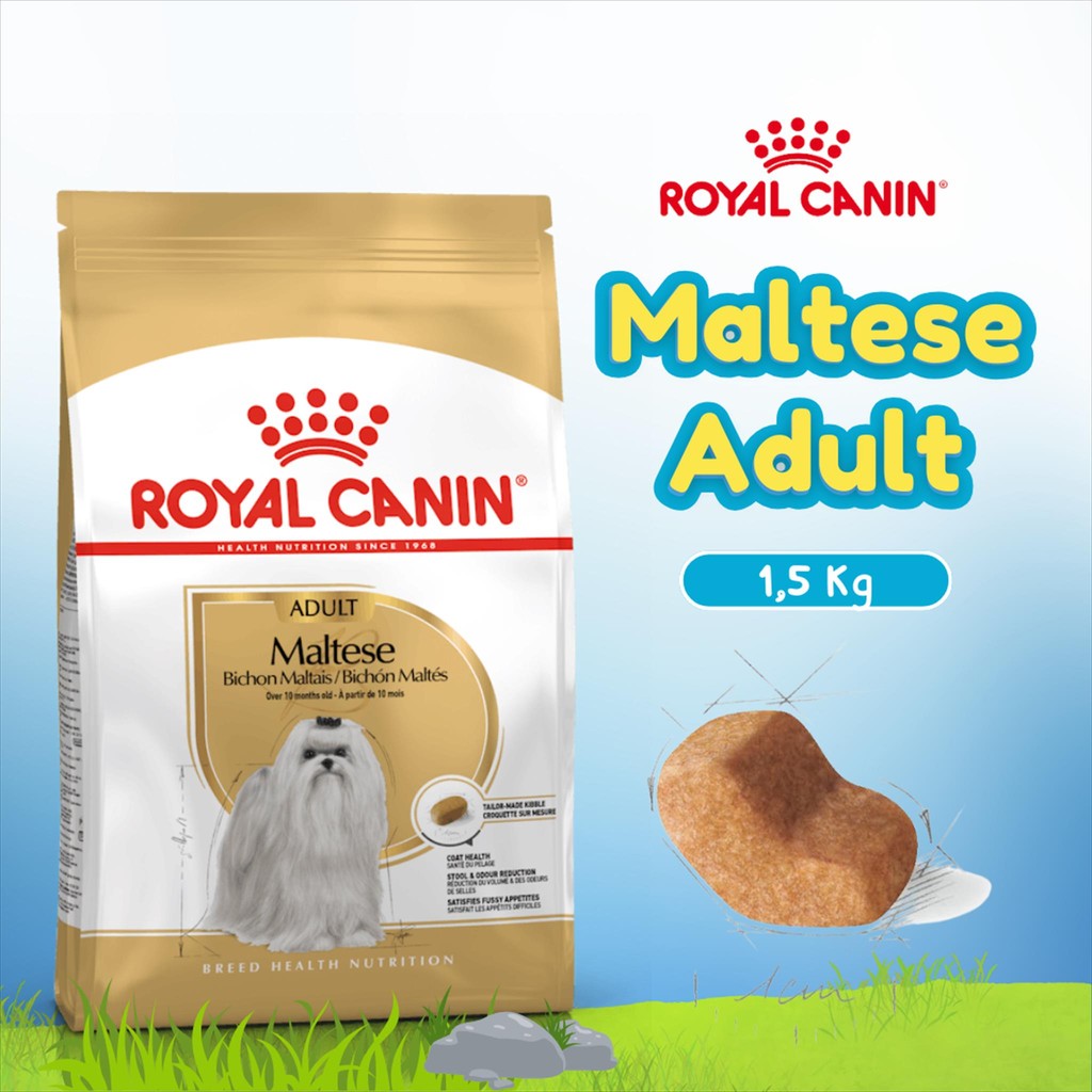 Royal Canin 1.5 kg Breed Health Nutrition Maltese Adult