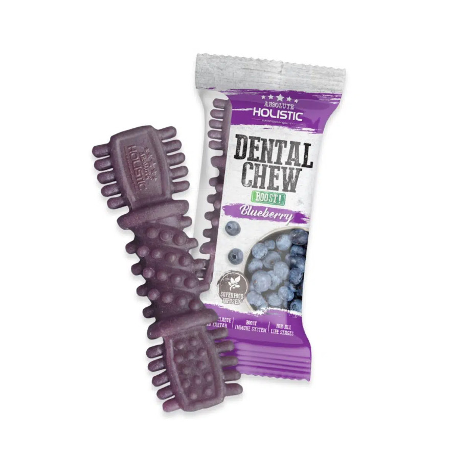 Absolute Holistic Dental Chew Blueberry 25gr