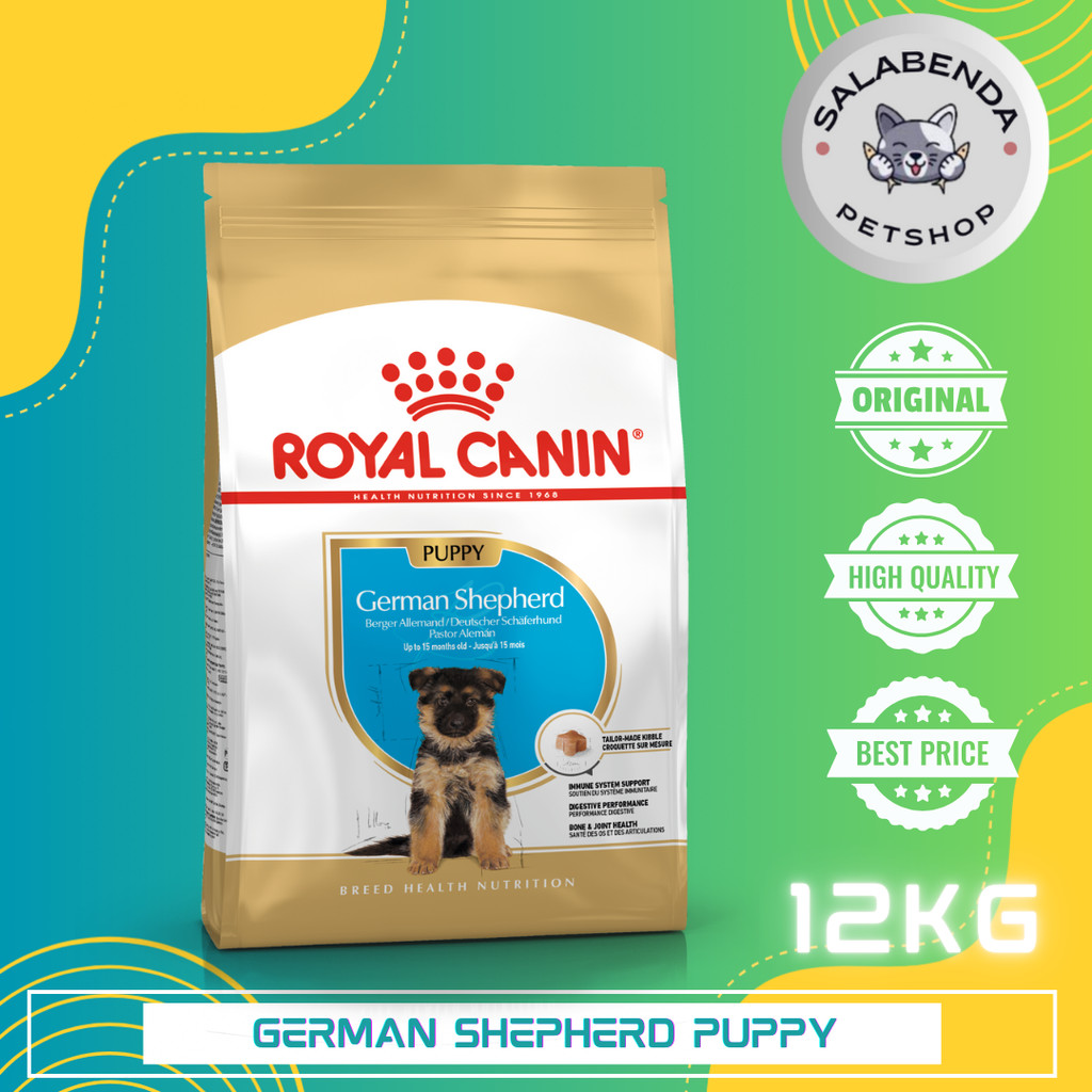 Makanan Anjing German Shepherd Puppy Nutrition Royal Canin Best