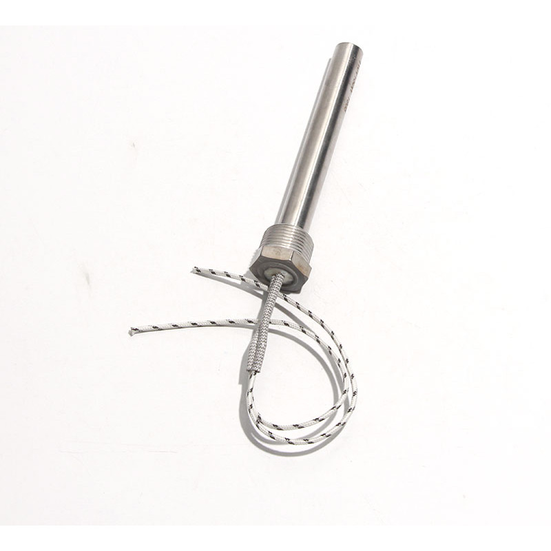 AIICIOO 36V 500W Patronenheizer Edelstahl - 3/4 Zoll DN20 Für Brauerei & Warmwasser