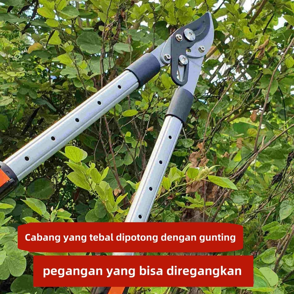 Jual GUNTING TAMAN GAGANG PANJANG POTONG RANTING DAHAN POHON TANAMAN ...