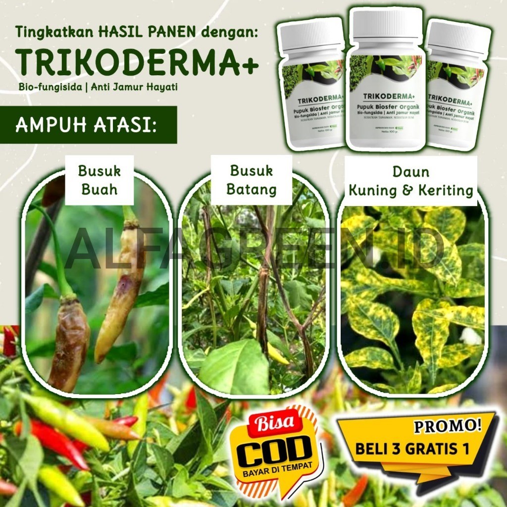 Jual Pupuk Tricoderma Plus Fungisida Organik, Tanaman Anti Layu dan ...