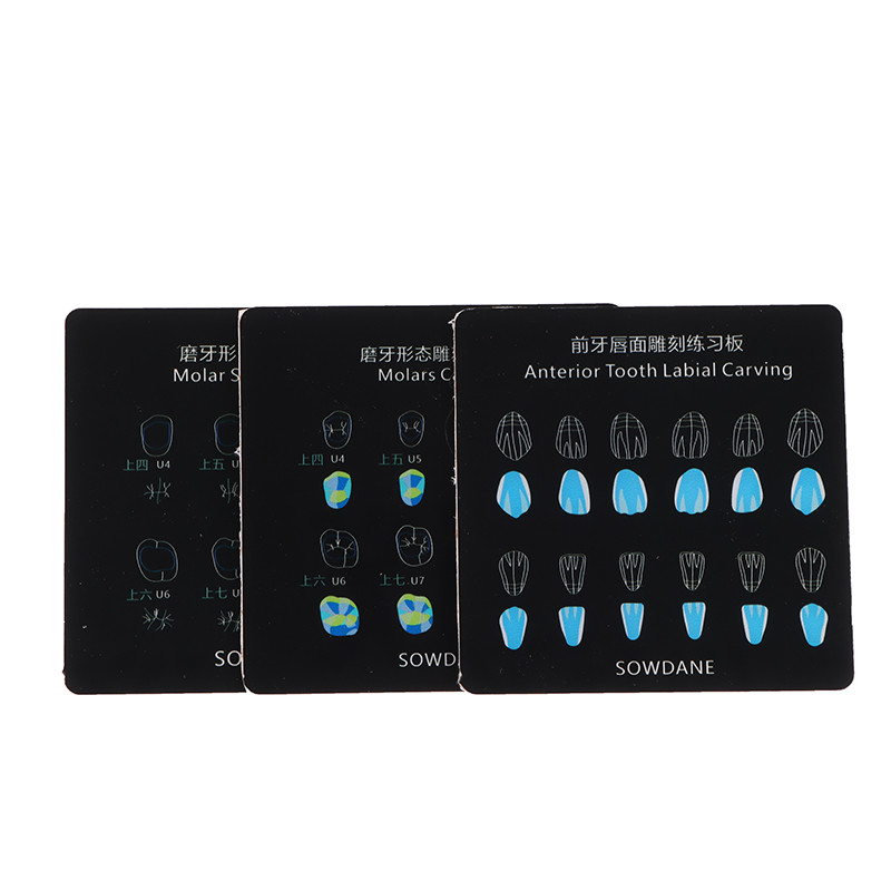 Jual 3Sizes Dental Composite Resin Filling Practise Template Teeth ...
