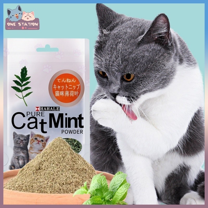 Jual Catnip Catmint Cat Mint PURE CATMINT POWDER Menthol Snack Makanan ...