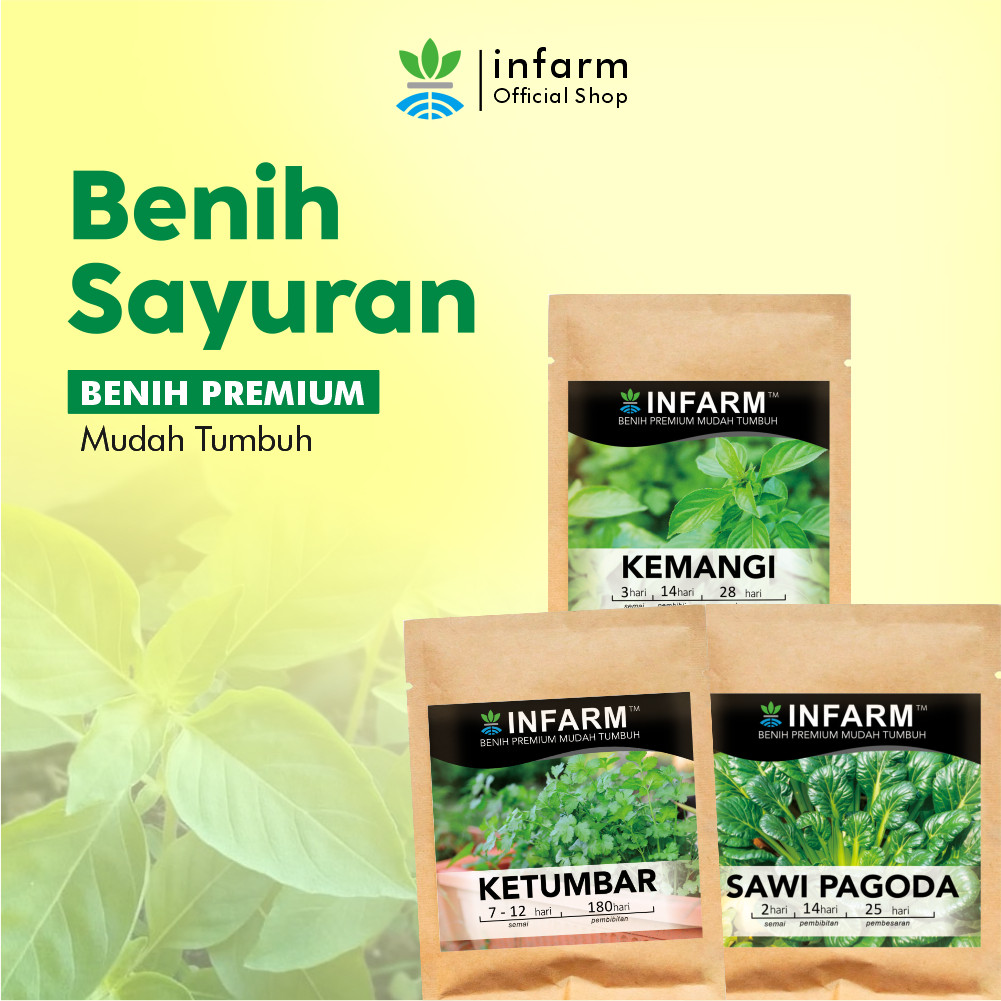 Benih Bibit Sayur Rumahan Sayur Sawi Pagoda Ketumbar Kemangi Rumput Jepang Bibit Berkualitas