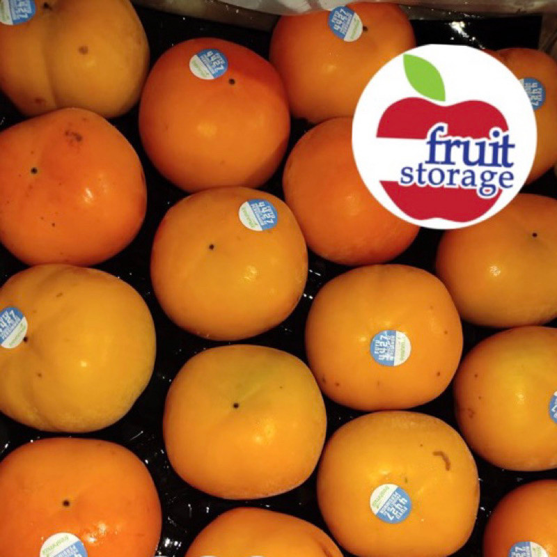 Jual Buah Persimmon Manis Premium kesemek impor Australia New Zealand ...