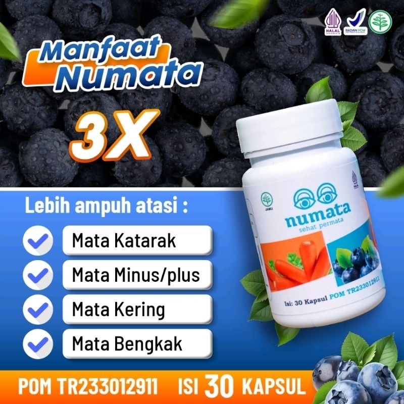 Jual Kapsul Numata Obat Herbal Membantu Atasi Mata Minus Glaukoma ...