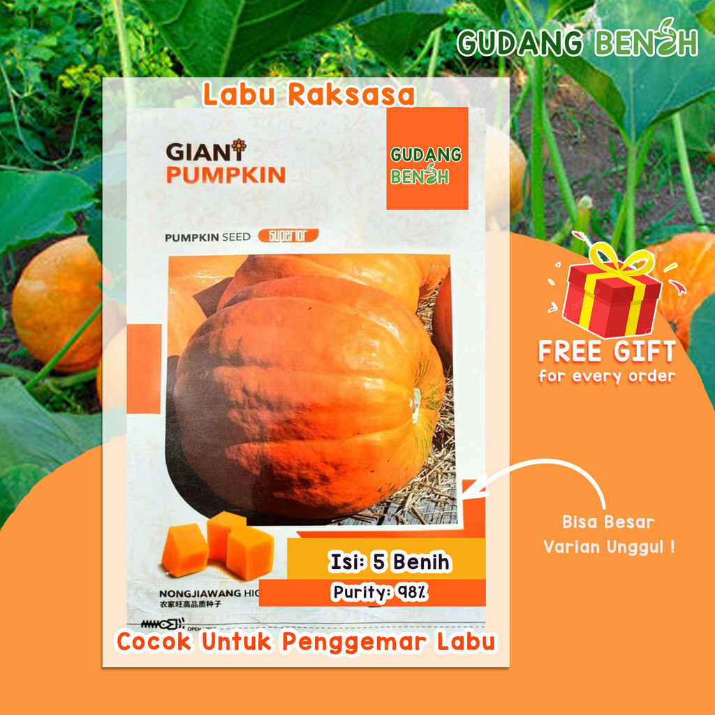 Jual Ukuran Labu Terlengkap & Harga Terbaru April 2026 | Shopee Indonesia