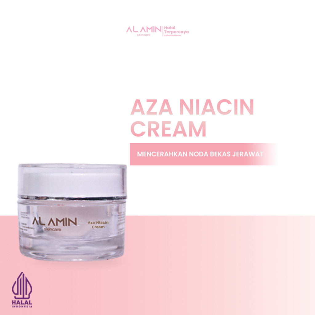 Jual Alamin Post Acne Cream Aza Niacin penghilang Bekas Jerawat Merah ...