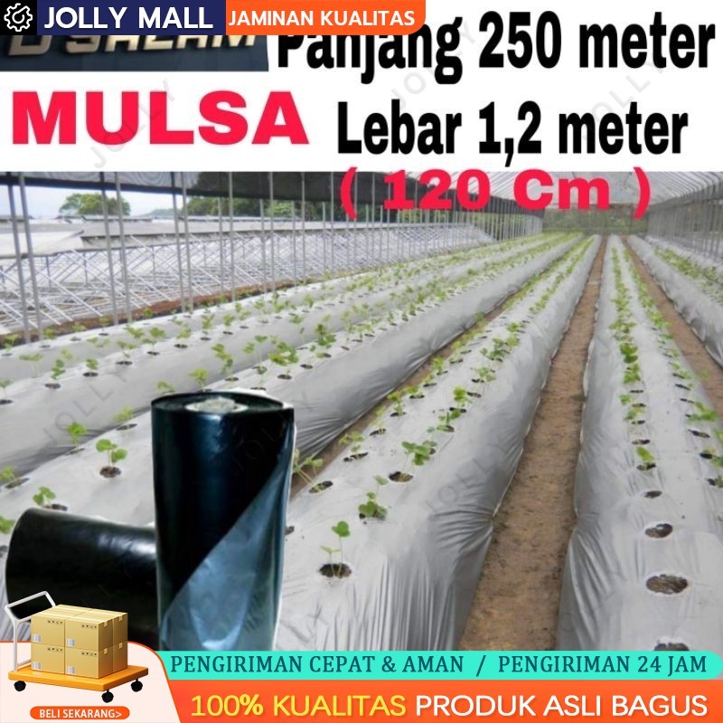 PLASTIK MULSA ( 1 ROLL ) panjang 250 meter * Lebar 120cm (1,2meter)