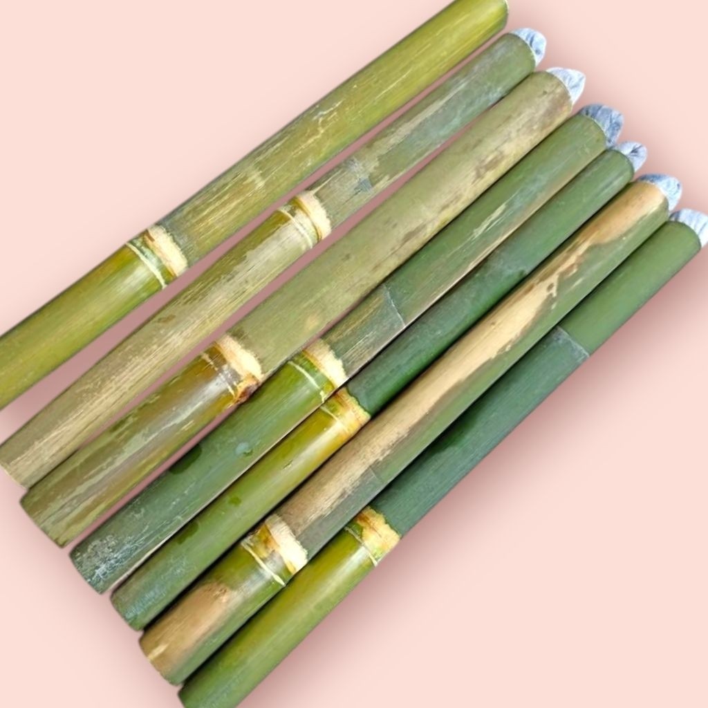Jual Full set obor bambu + sumbu panjang 50 cm siap pakai | Shopee ...