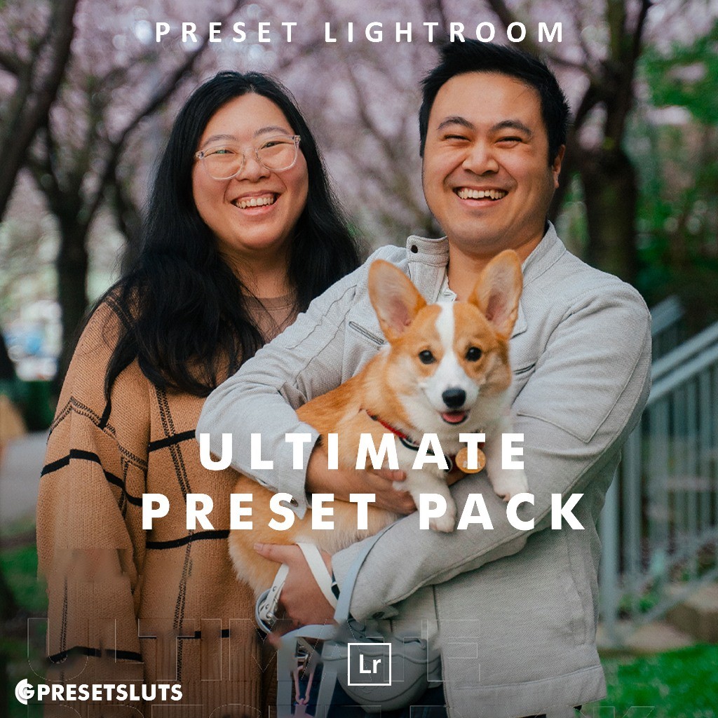 Jual Justjn Veenema Ultimate Preset Bundle Lightroom Preset Desktop ...