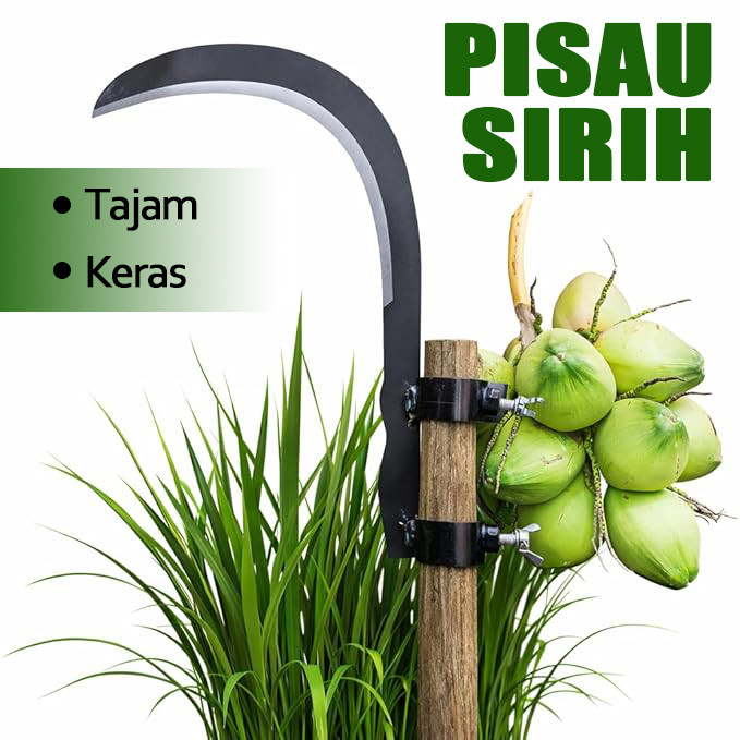 Sabit Pisau Pinang Adjustable Multifungsi, Alat Pertanian & Berkebun Serbaguna untuk Memotong Rumput Air, Memangkas Ranting Dahan serta Memetik Buah Dataran Tinggi