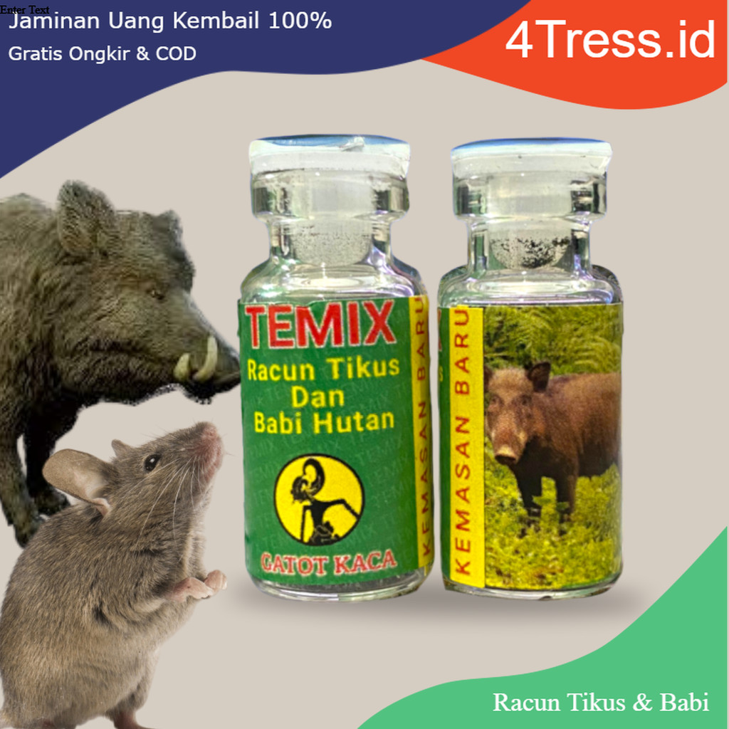 TEMIX GATOT KACA RACUN TIKUS DAN BABI HUTAN DI JAMIN AMPU BAMI HAMA PERKEBUNAN DAN SEKITAR RUMAH