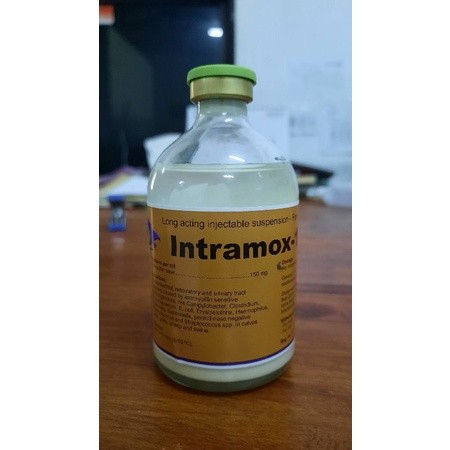 Jual INTRAMOX-150 LA | Shopee Indonesia
