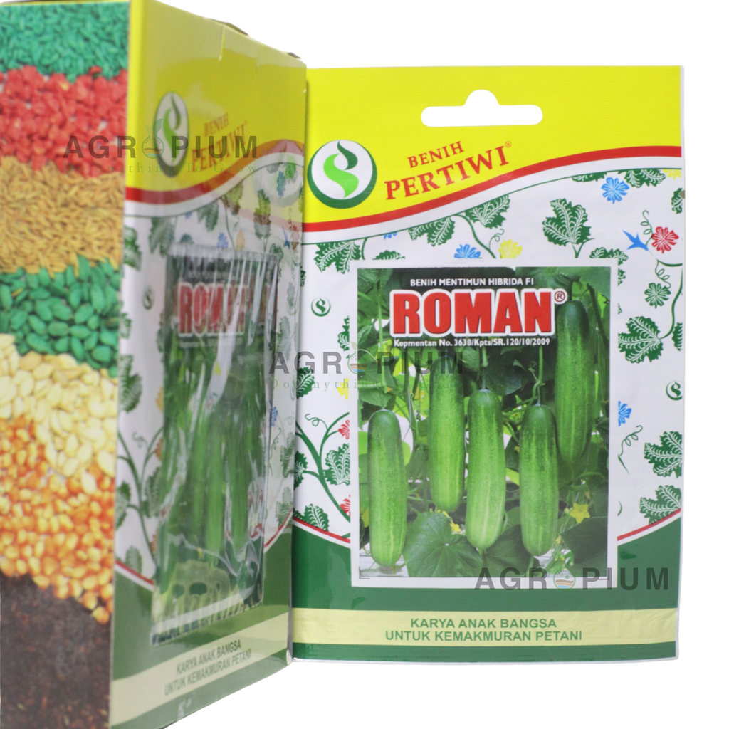 Jual Benih Timun Mentimun Roman Isi 100 Biji Benih Pertiwi | Shopee ...