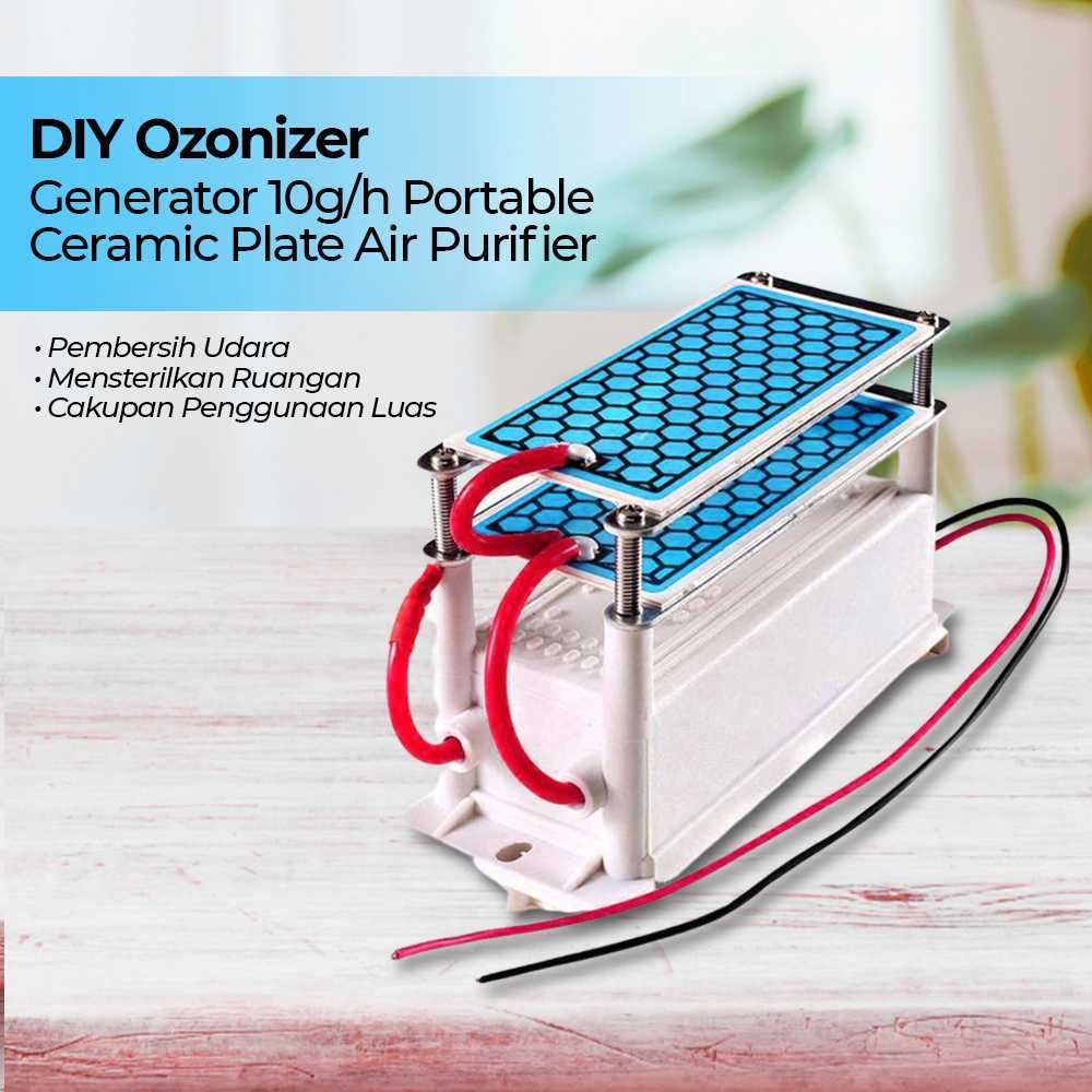 Jual Ozonizer DIY Ozone Generator 10g/h Portable Ceramic Plate Air ...