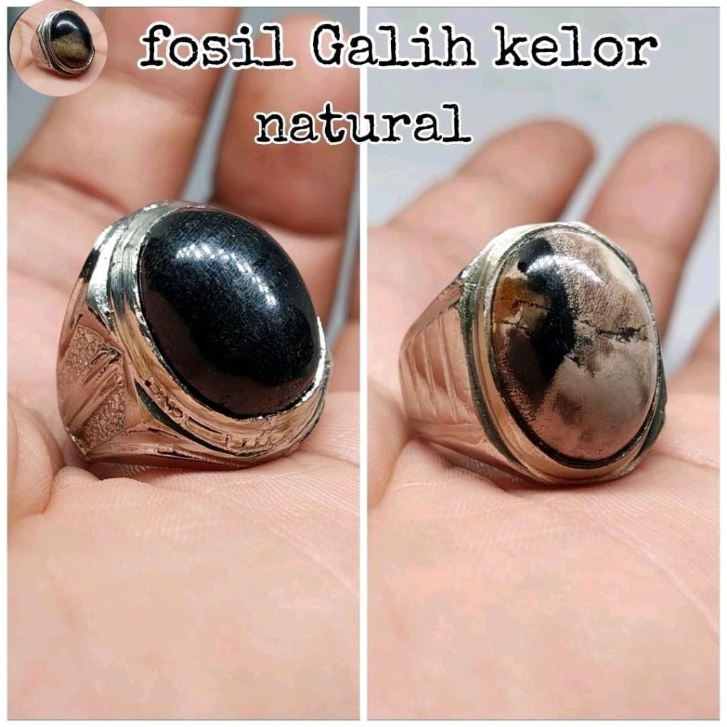Jual NATURAL FOZIL GALIH KELOR HITAM / BERCORAK NATURAL MEMBATU JOSS ...