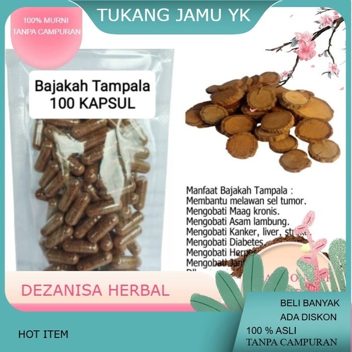 Akar Bajakah Tampala isi 100 kapsul untuk tumor kanker