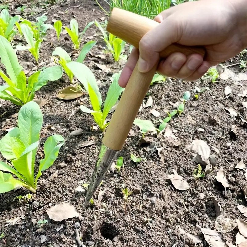 Jual Hand Sow Dibbler With Wood Handle For Sowing Seeds Transplanting ...