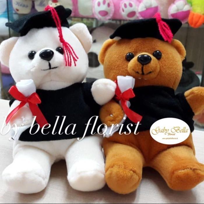 Jual Boneka wisuda. Boneka graduation. Boneka buket boneka - Kecil ...
