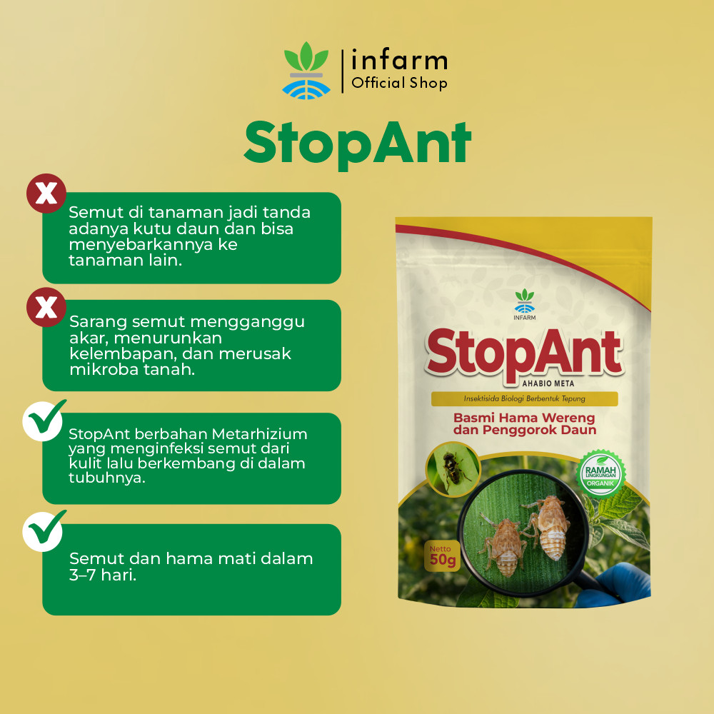 Jual INFARM - Metarhizium StopAnt Pembasmi Hama Semut Dalam Tanah ...