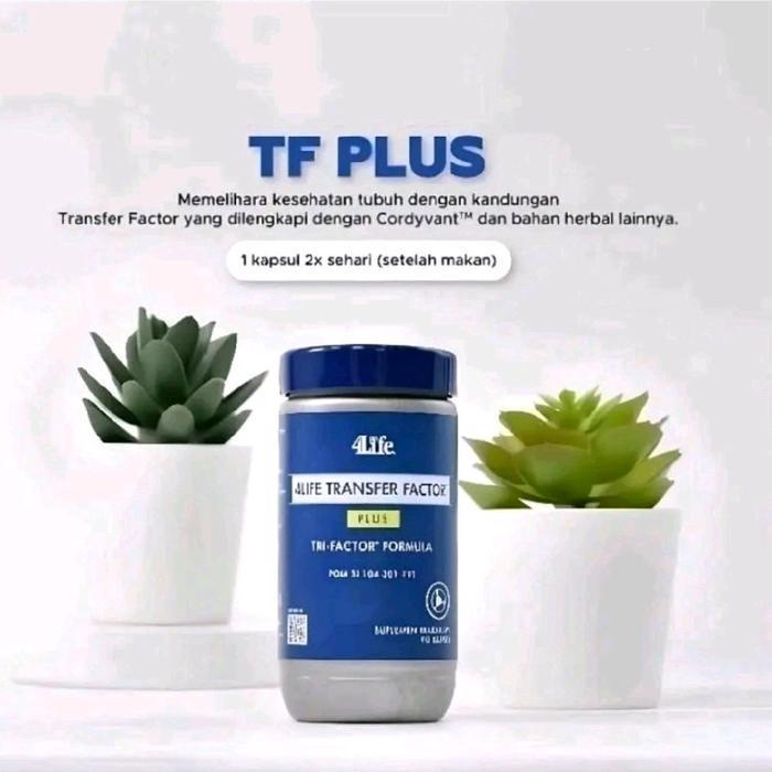 Jual Ecer 30 kapsul Ready TF PLUS 100% ORIGINAL 4LIFE TRANSFER FACTOR ...