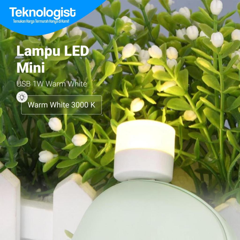 Jual Lampu Bohlam Mini USB Cool White 6000K 1W | Shopee Indonesia