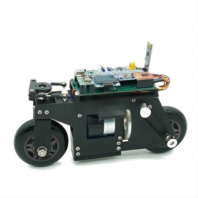 Jual 2WD RC Balance Bike Cubli Self-Balancing Car 3D Printing APP ...