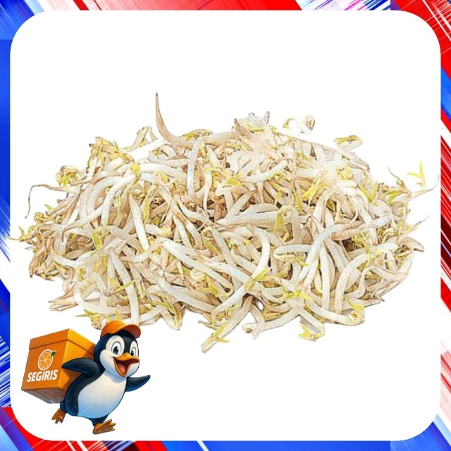 Jual Toge Kecambah Segar 500 gr | Shopee Indonesia