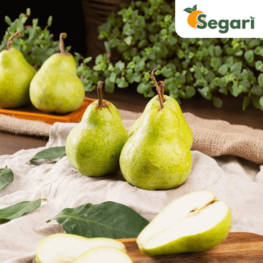 Jual Pear Packham (450 - 550 gram / pack) | Shopee Indonesia