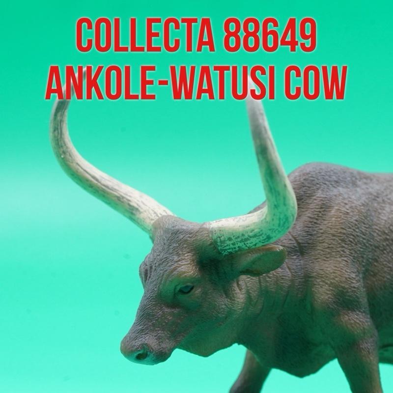 88860 Collecta - Mucca Hereford. - Mago Biribago Giocattoli