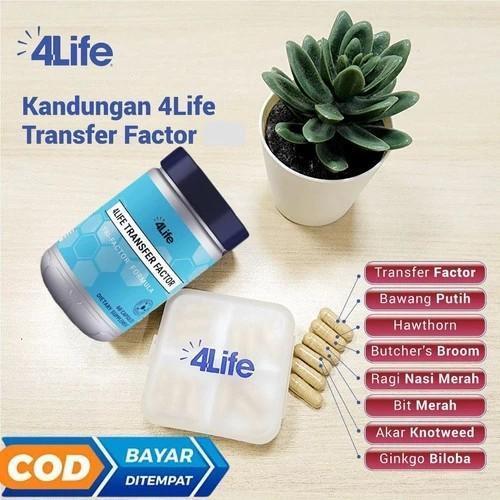 Jual ORIGINAL 4LIFE TRI FACTOR FORMULA ISI 60 KAPSUL ORIGINAL ASLI 54 ...