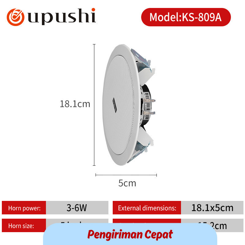 Jual PCP ceiling mounted speaker embedded ceiling suspended background ...