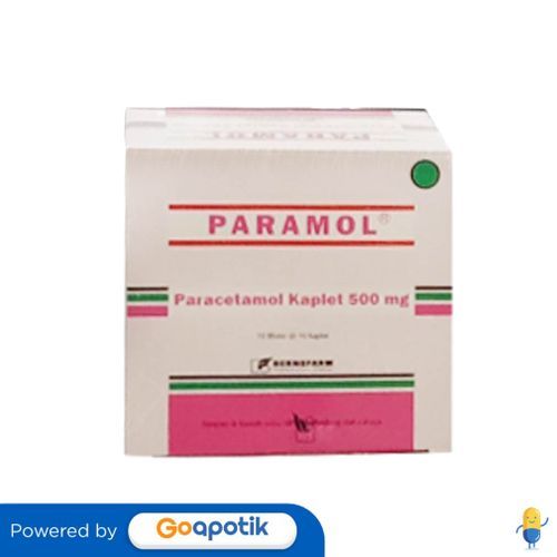 Jual Paramol 500 Mg Box 100 Kaplet | Shopee Indonesia