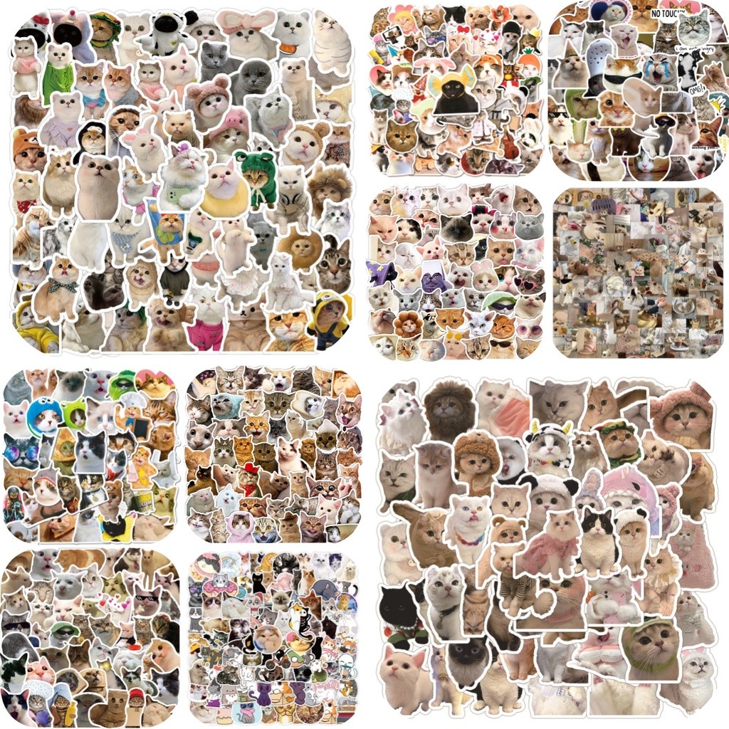 Jual Laminasi 100/50PCS Cute Kitten Lovely Cats Meme Stickers For ...