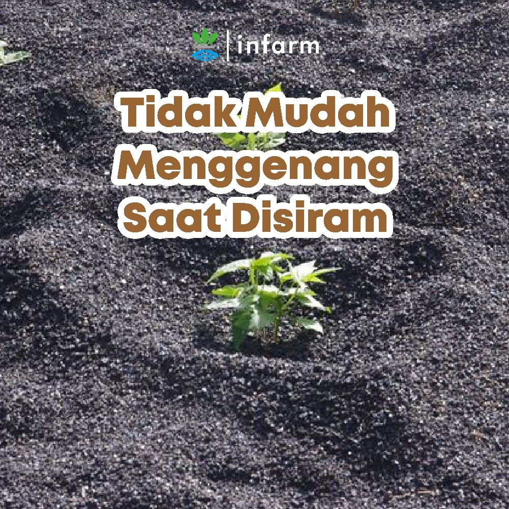 Jual INFARM - Media Tanam Tanah Vulkanik Subur 10L, Tanah Vulkanik 10 ...