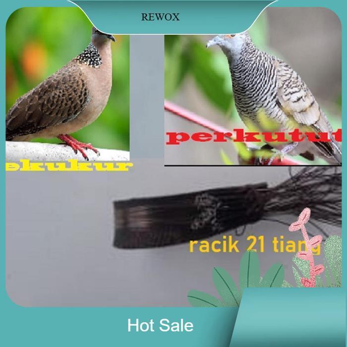 Jual COD! RACIK TEKUKUR 21 TIANG TALI JERAT BURUNG PERKUTUT PERANGKAP ...