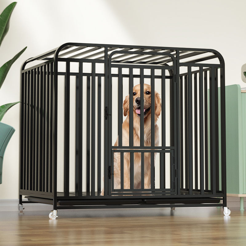 Jual Single Layer Double Door Luxury Pet Kennels Cages Carriers ...
