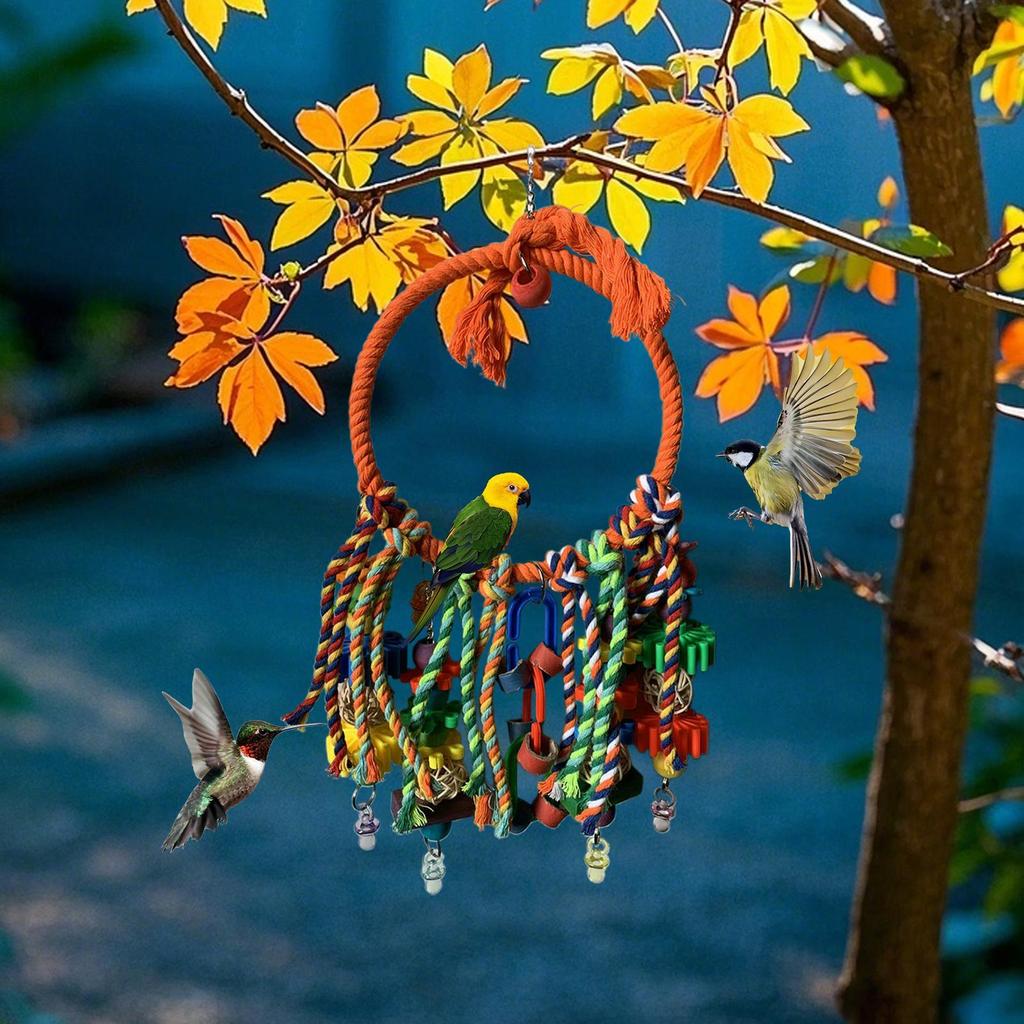 Curated visual reference: Picture Idea: Jual Bird Swing For Cage Bird Perch Ring Swing Parakeet