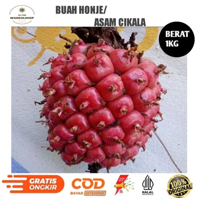Jual Promo 1kg asam cekala / asam cikala / asam patikala / buah ...