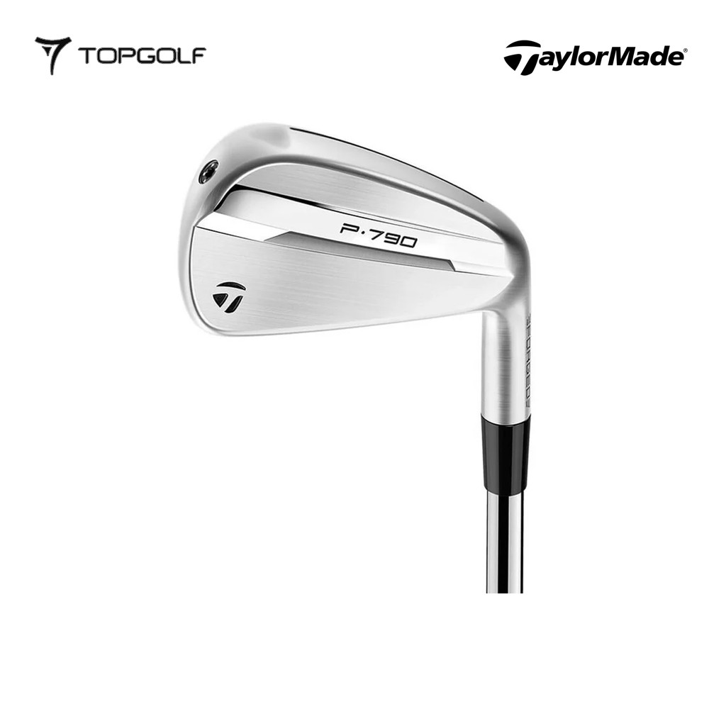 Jual TAYLORMADE P790 Irons #4-9P Stiff – Premium Players-Distance Iron ...
