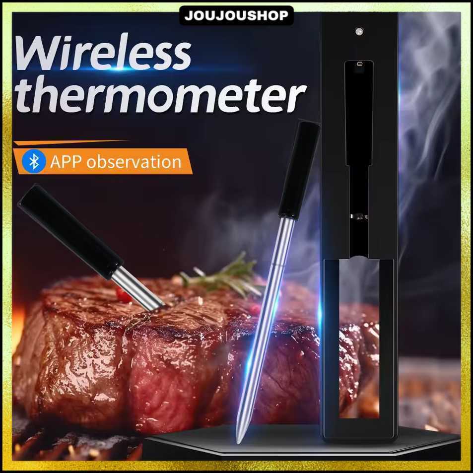 Jual Termometer Makanan Digital Daging BBQ Grill 2 Probe Rechargeable ...
