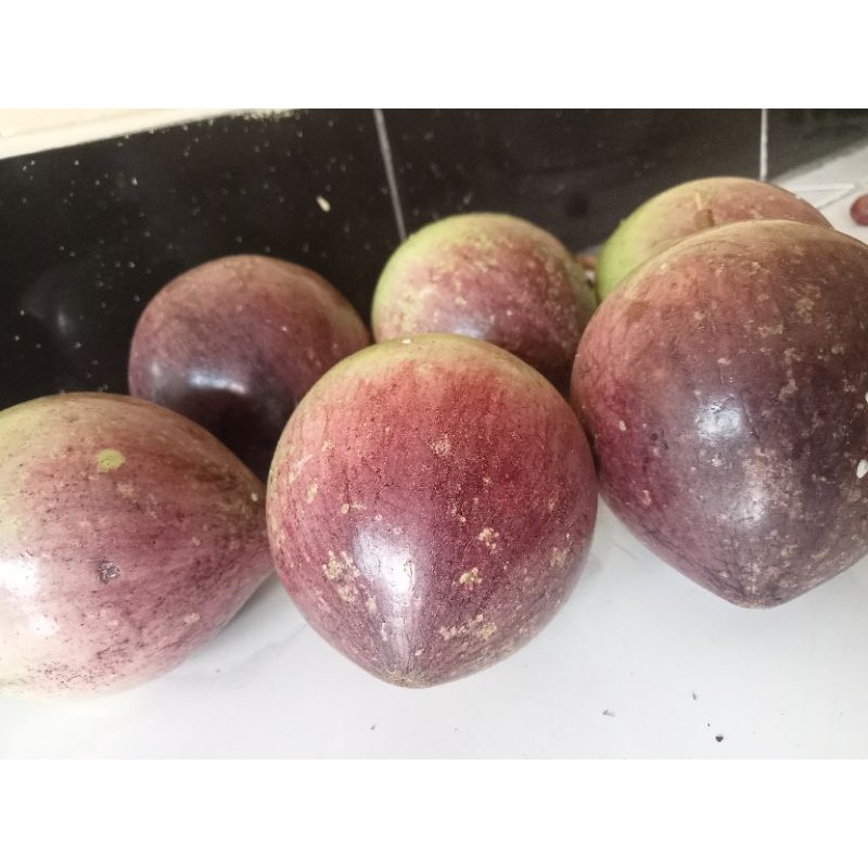 Jual Buah Kenitu Terlengkap & Harga Terbaru Juli 2026 | Shopee Indonesia