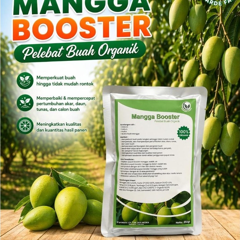 Jual GoArde Farm - Pupuk Booster Mangga Pelebat Pemanis Buah Mangga ...