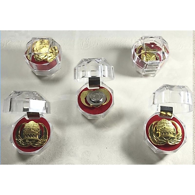 Jual Pin ASN Pin Pegawai Negeri Magnet Peniti Pin KORPRI Tebal | Shopee ...