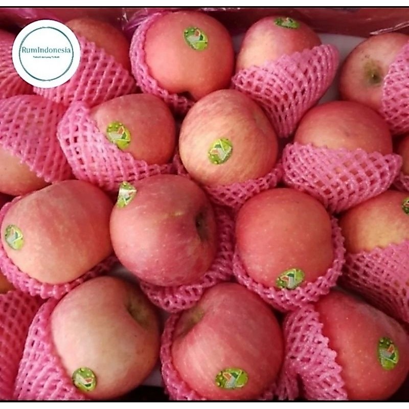 Jual apel Fuji fresh import 1 kg buah apel Fuji fresh 1kg | Shopee ...