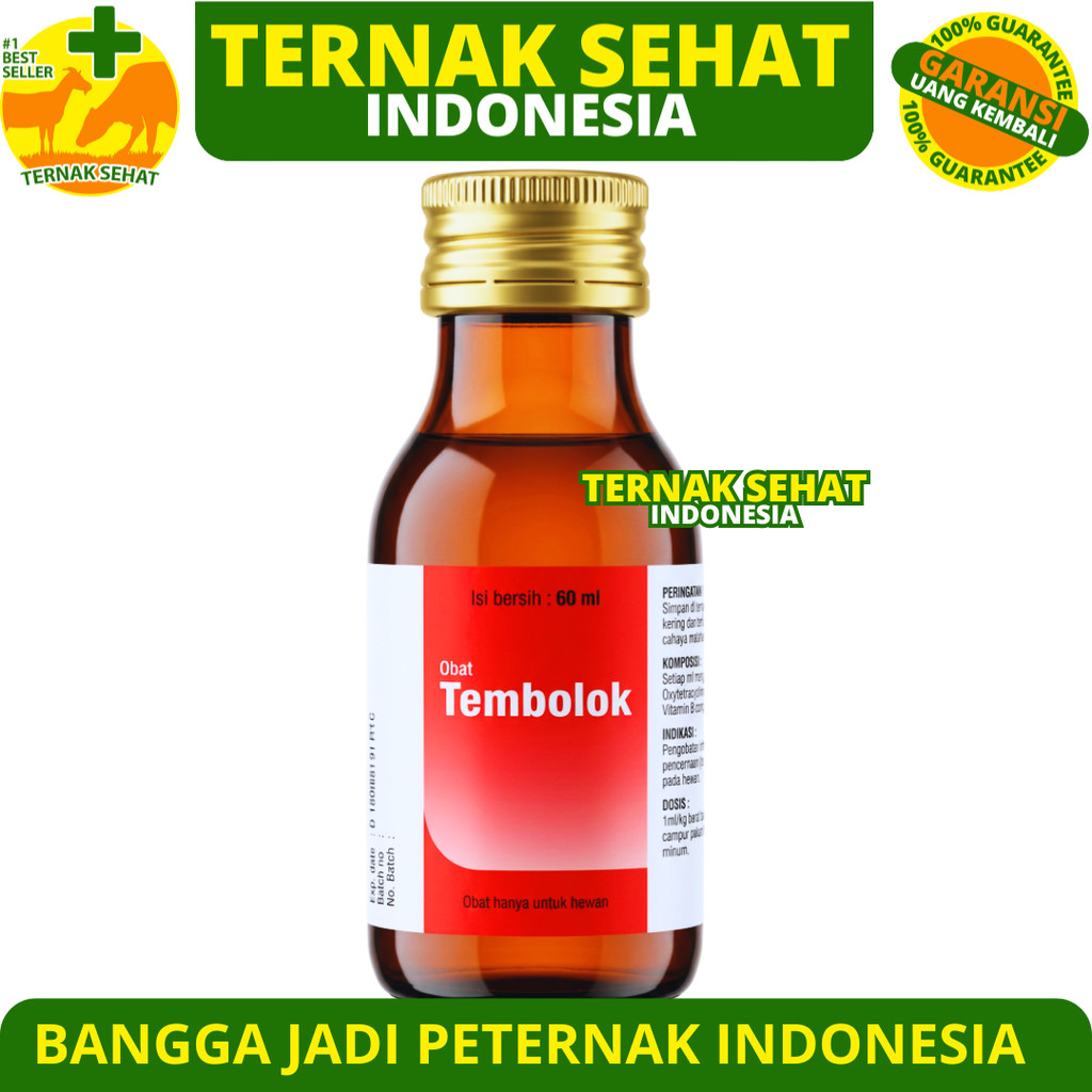Jual Tembolok Terlengkap & Harga Terbaru Juli 2026 | Shopee Indonesia